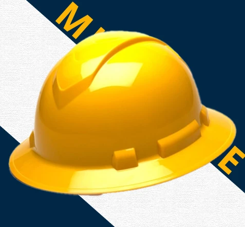 HEAD PROTECTION MSA Topgard Protective Hats 1 1