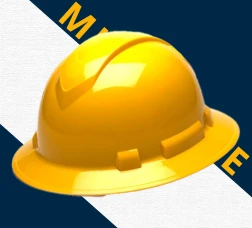 MSA Topgard Protective Hats