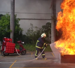 FIRE MOTOR2