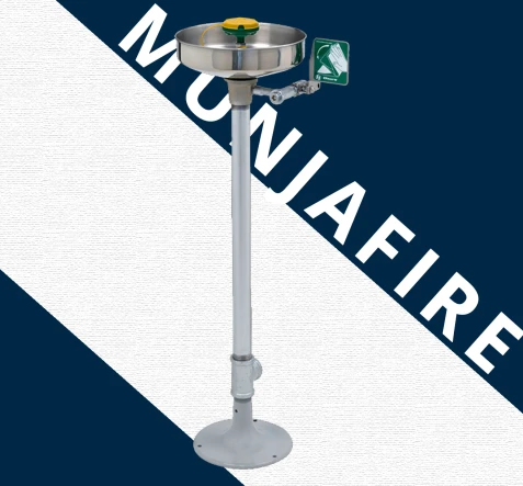 EMERGENCY SHOWER AXION® MSR Pedestal Mount Eye/ Face Wash 1 g